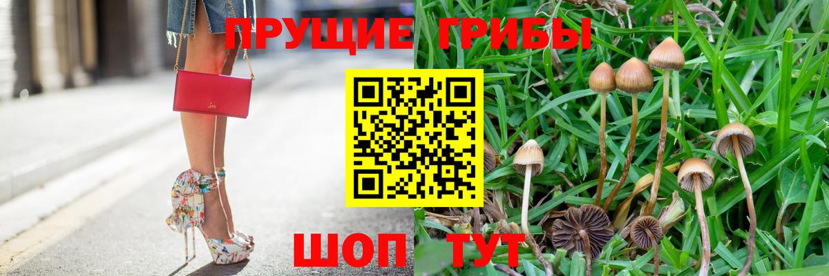 Псилоцибиновые грибы мухоморы Михайловка
